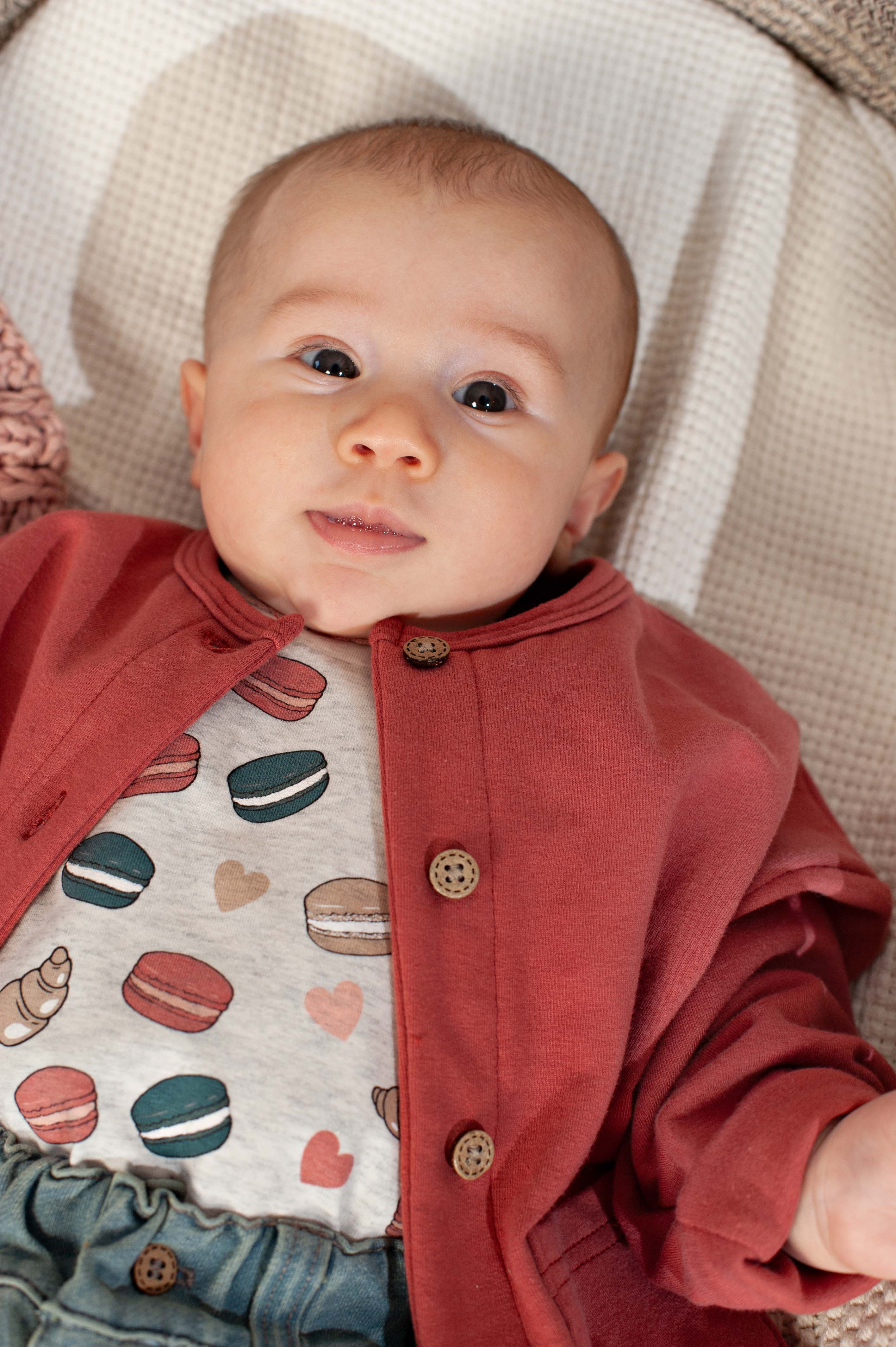Bess | Cardigan Sweat | Cedar Wood