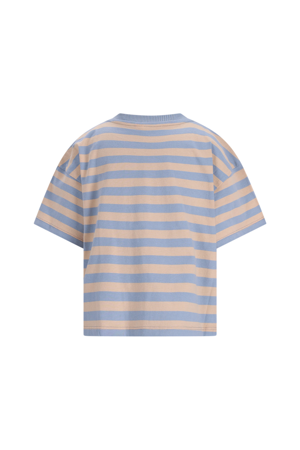 The New Chapter | T-Shirt Bo | Blue Beige Stripes