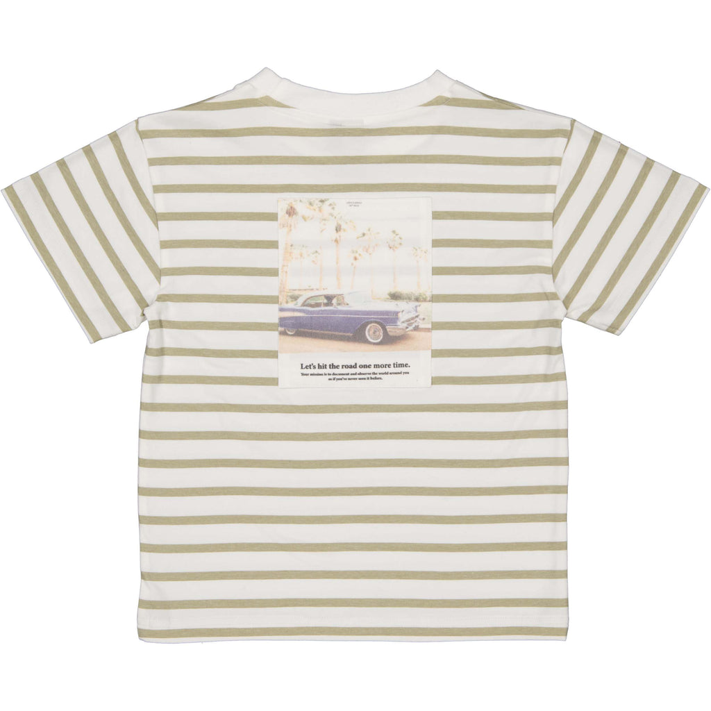 Levv | Little Boys | Shirt Bas