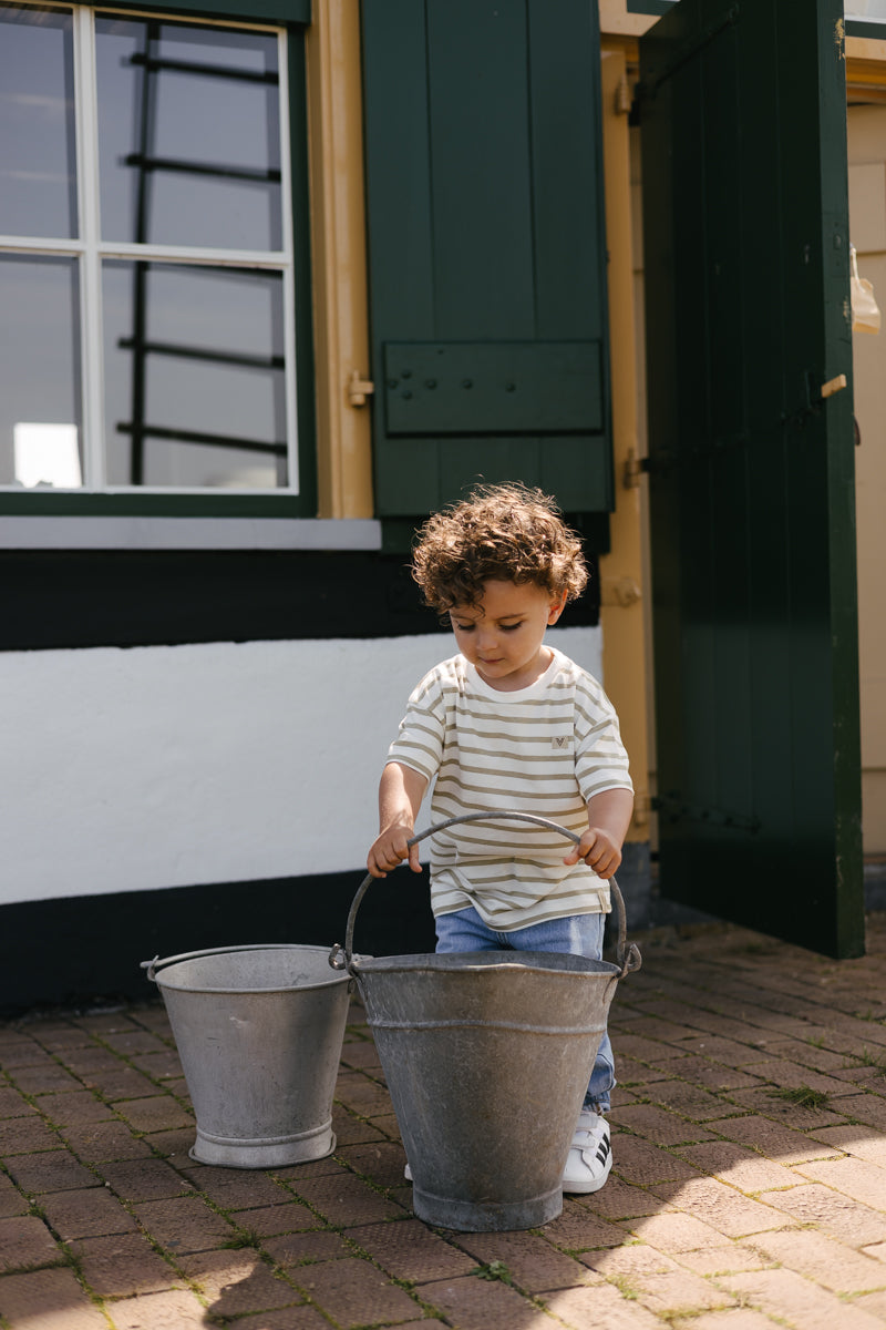 Levv | Little Boys | Shirt Bas