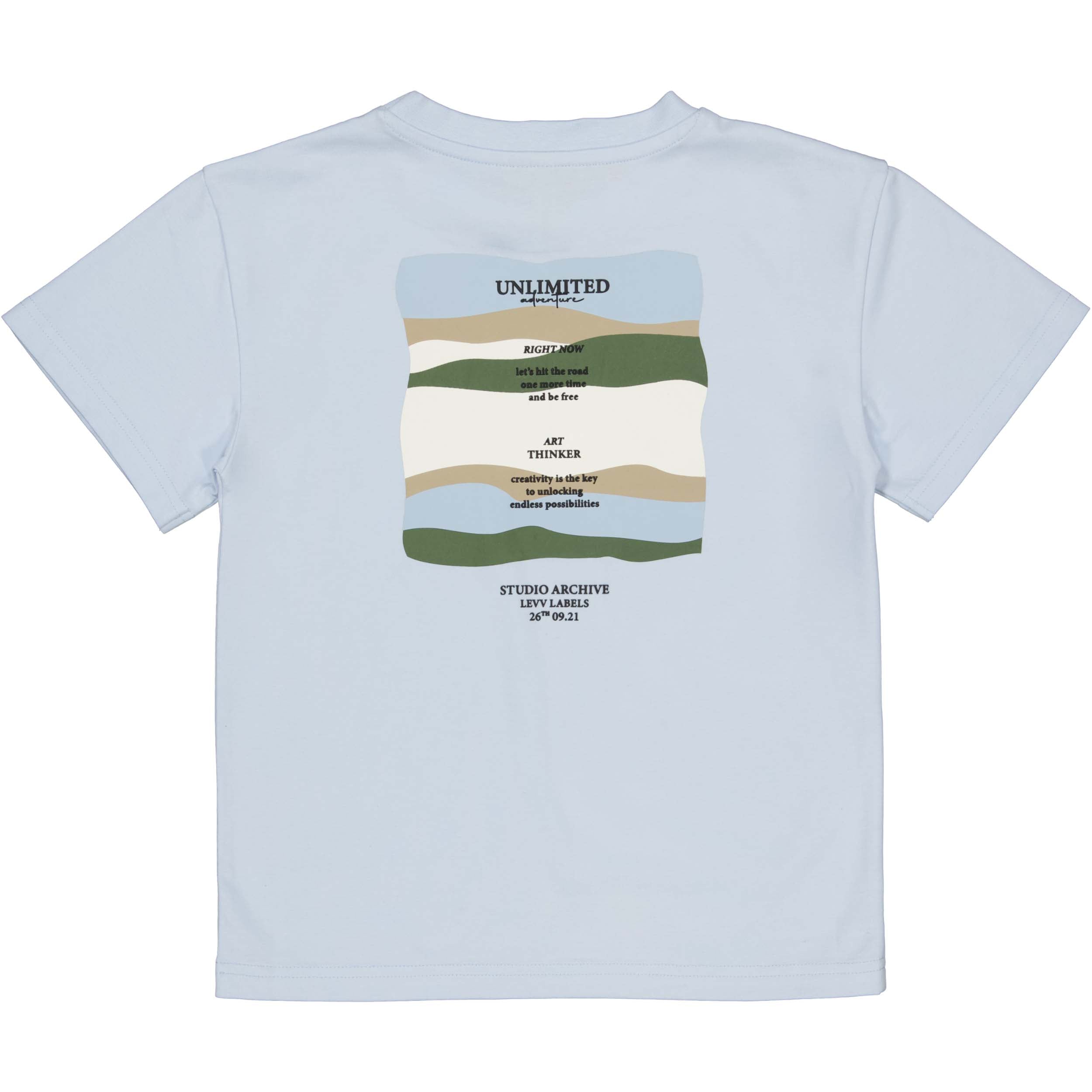 Levv | Little Boys | Shirt Bay