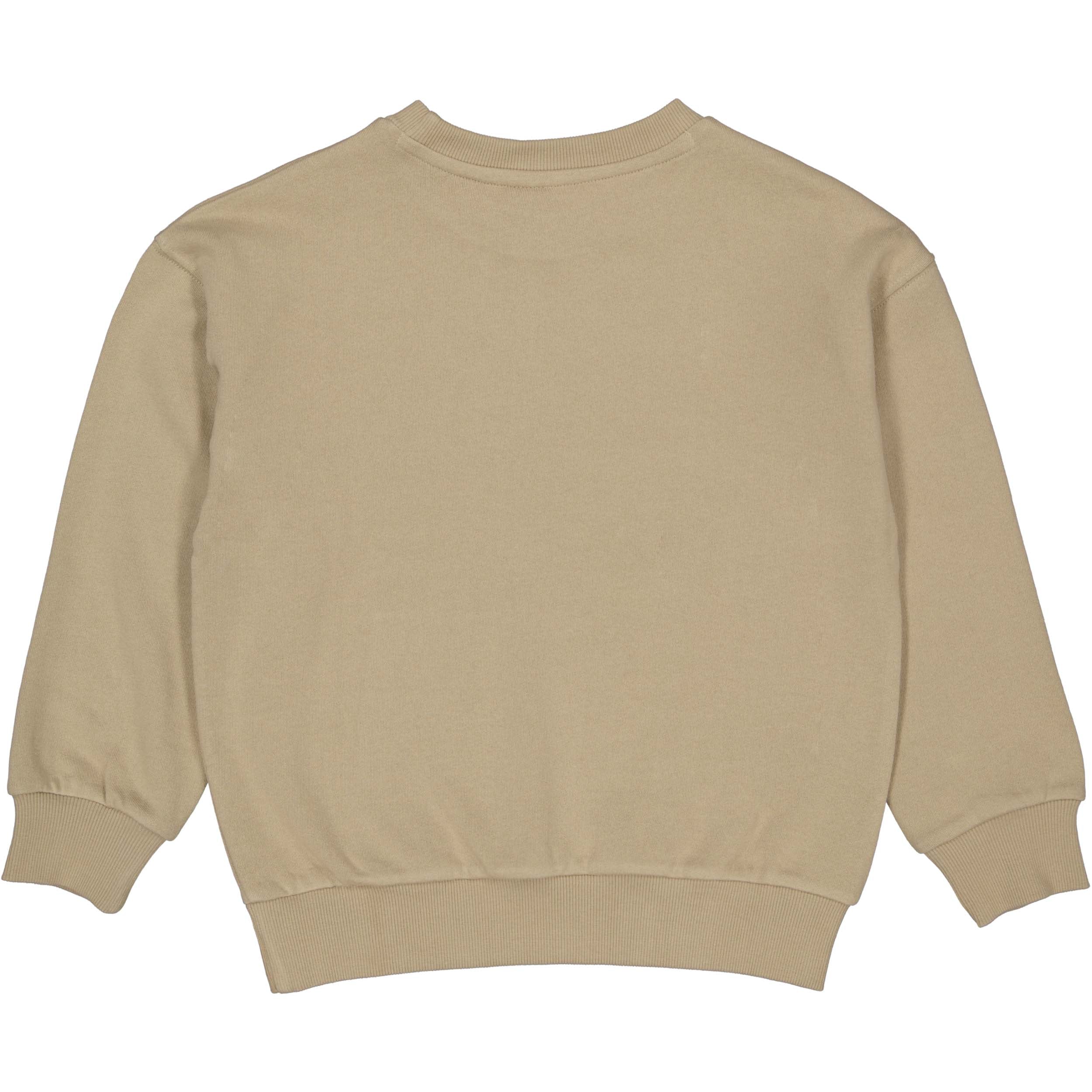 Levv | Little Boys | Sweater Bjorn