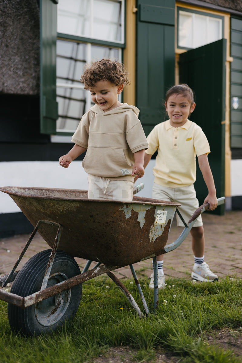 Levv | Little Boys | Sweater Boaz
