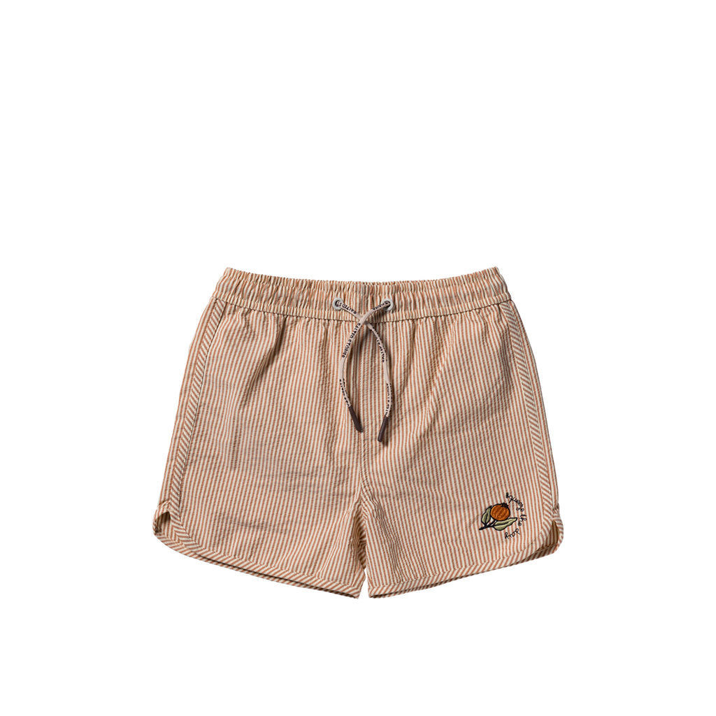 Salted Stories | Seersucker | Swim Shorts