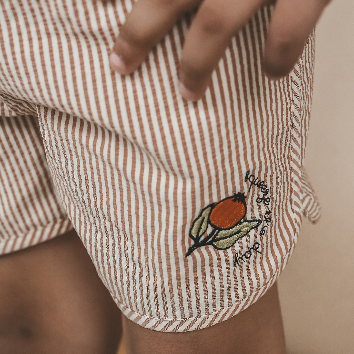 Salted Stories | Seersucker | Swim Shorts