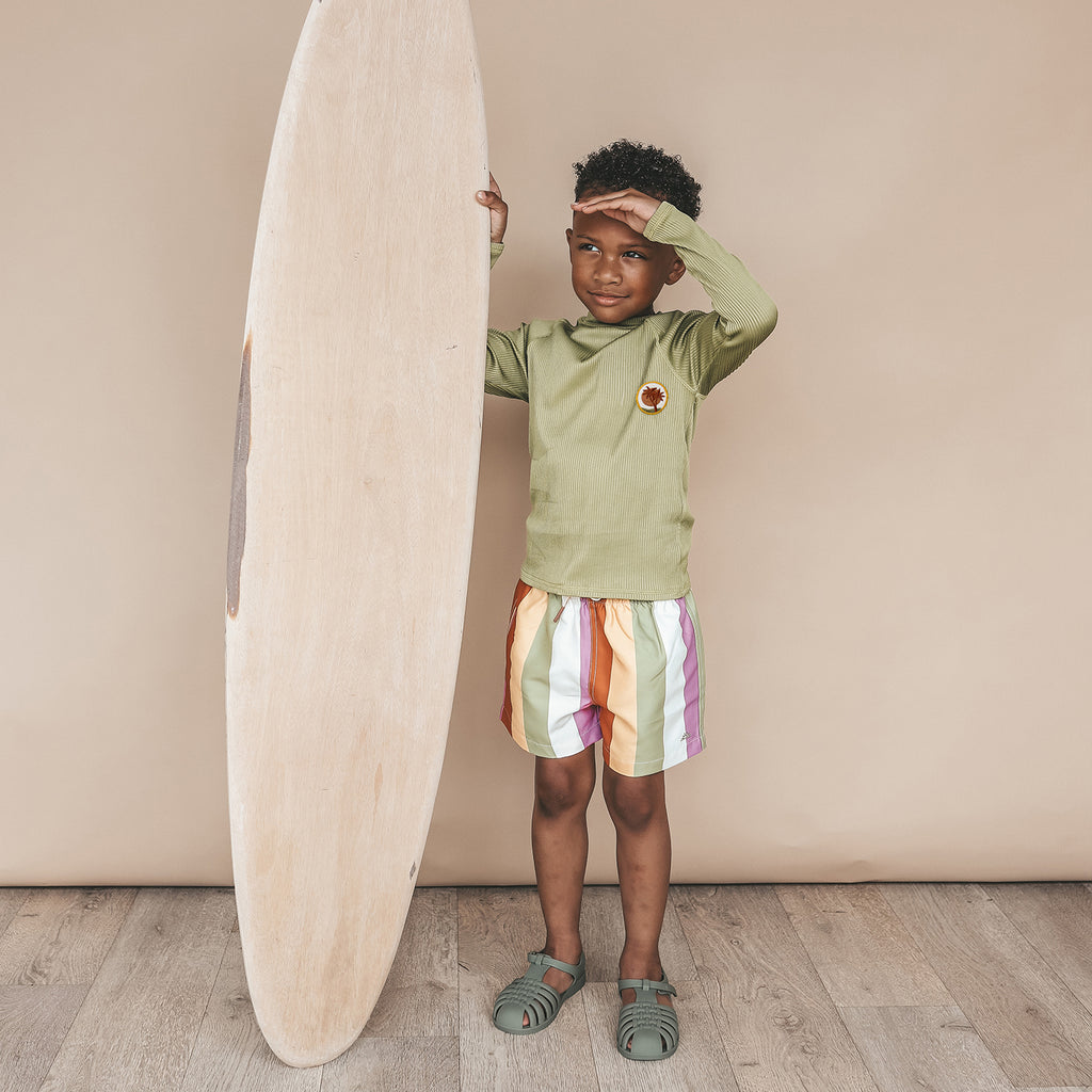 Salted Stories | Multi Stripe | Swim Shorts