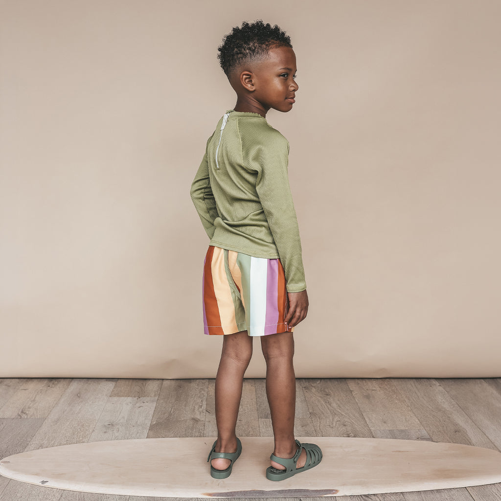 Salted Stories | Multi Stripe | Swim Shorts